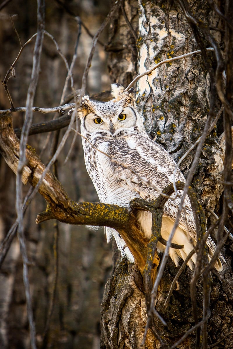 Blending In